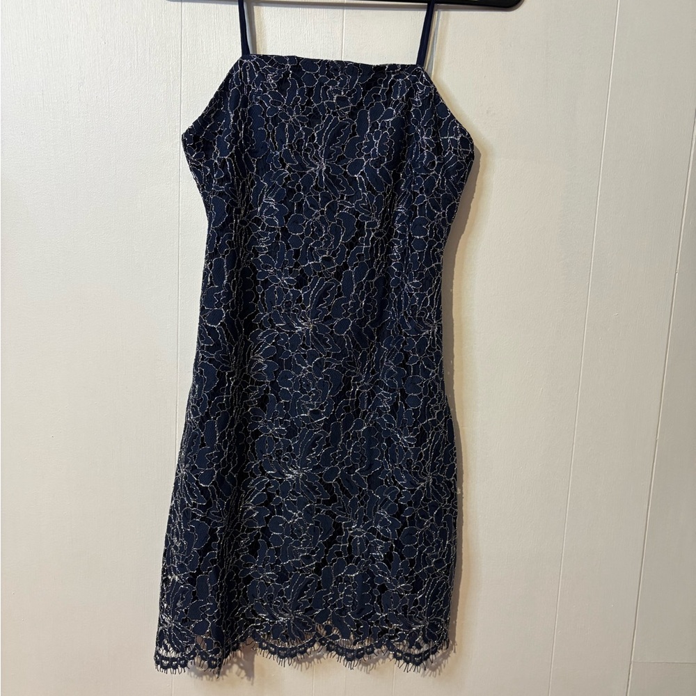 Francesca's Collections Navy Lace Midi Dress